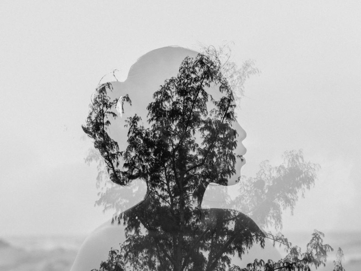 El Silencio en&nbsp;versos